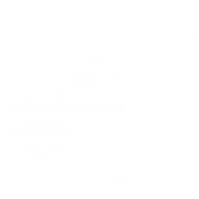 VIOLIN-3