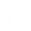 Violin-2