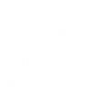 flute