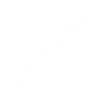 flute
